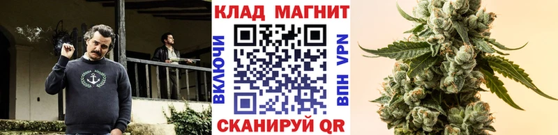 Галлюциногенные грибы Артём