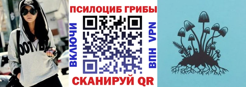Галлюциногенные грибы ЛСД  купить наркотики цена  мега ТОР  Артём 